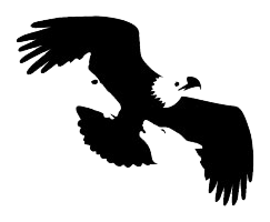 Eagle Mountain Capital Logo